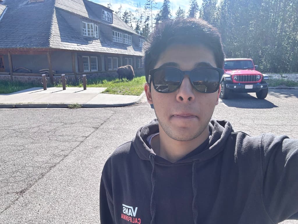 Visual representation for tip: Shamanth when he sees an unusually large dog behind him