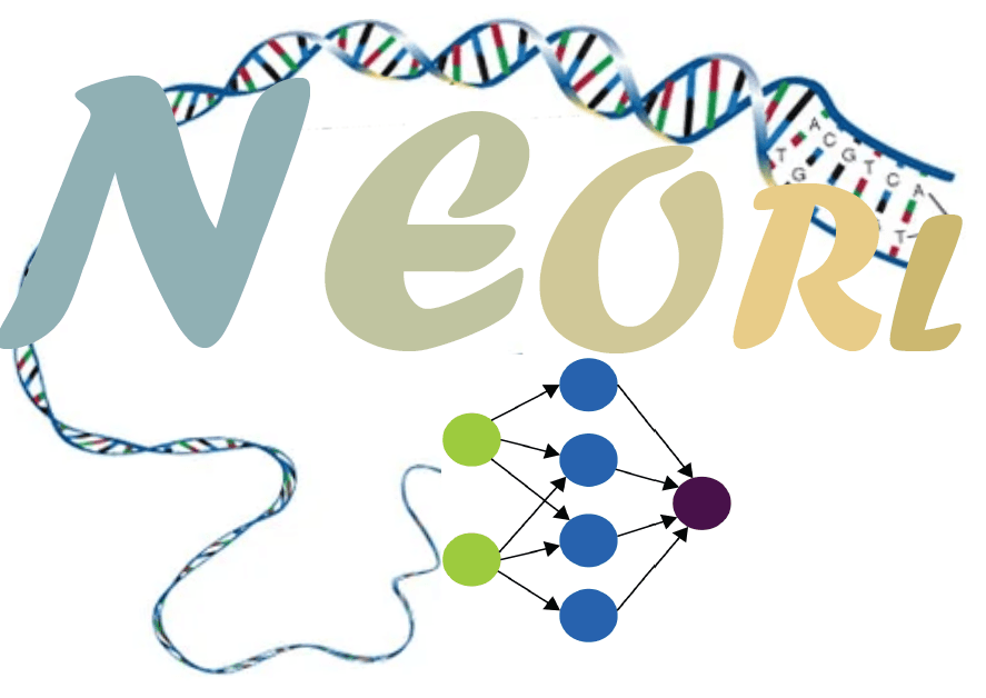 NEORL: NeuroEvolution Optimization with Reinforcement Learning