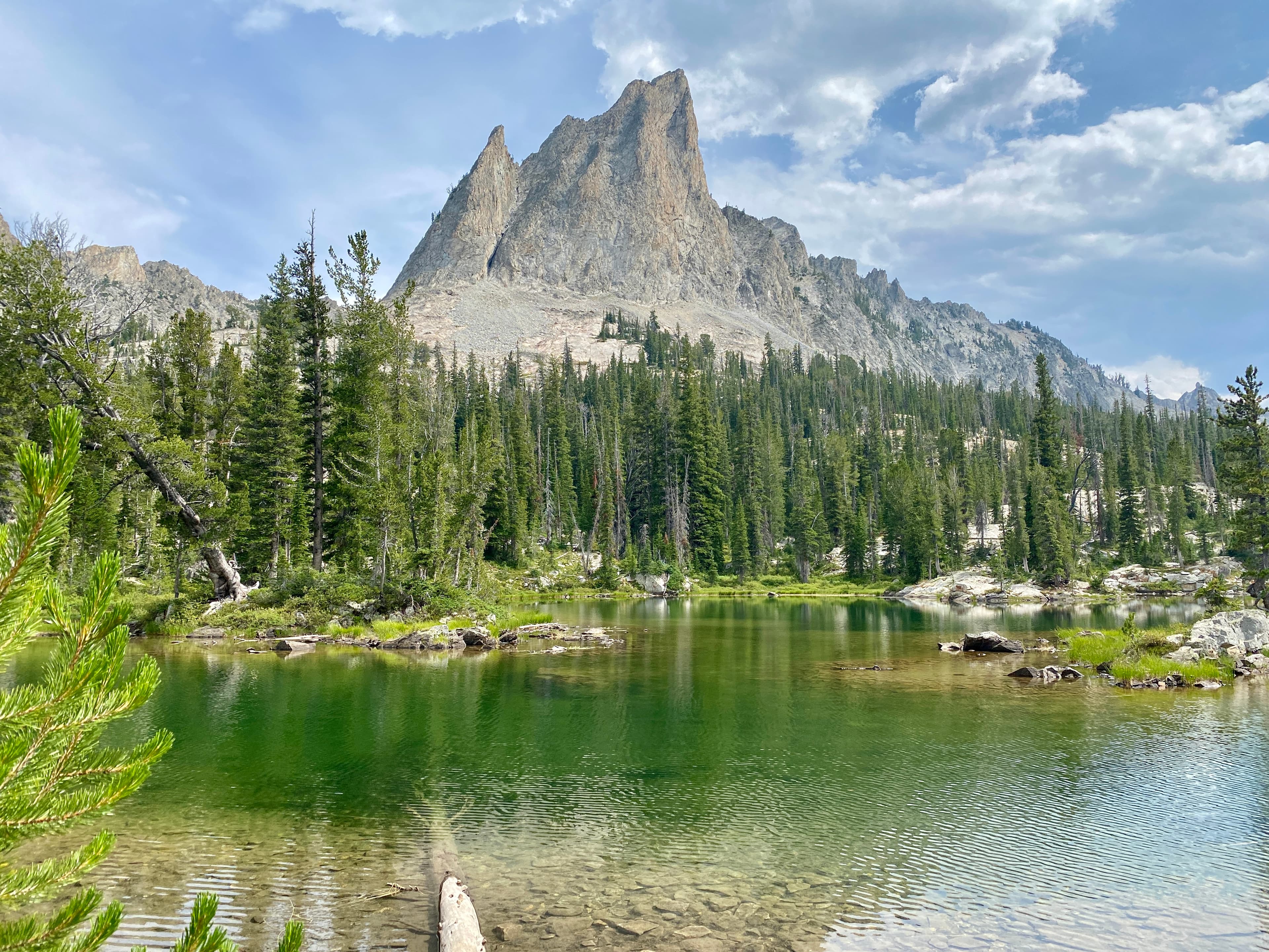 Meredith Eaheart hero image